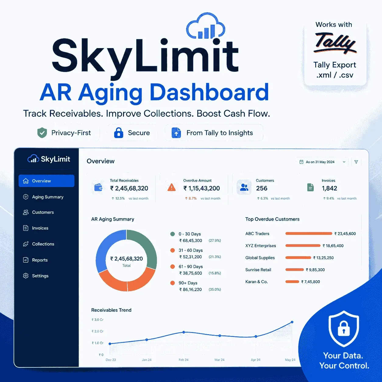 icon of SkyLimit AR Aging Dashboard